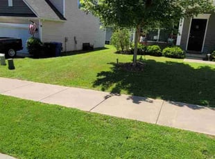 Randy W.'s Grass Cutting service result