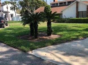 Cleanups by Jah Gage for Steve S. in Orlando, FL