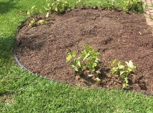 Mulching by Kristopher Anderson for Leah S. in Baton Rouge, LA