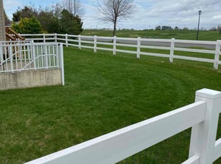 Asonya C.'s Lawn Mowing service result