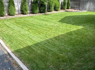 Daniel R.'s Lawn Care service result