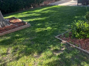 Rhonda W.'s Lawn Service service result