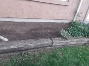 Weeding by Jamill Pacheco for Heather B. in Colorado Springs, CO