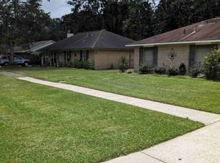Lilly g.'s Lawn Care service result