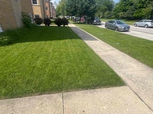 Colleen L.'s Lawn Care service result