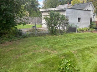 Bush Trimming by James Serio for Kathryn K. in Rochester, NY