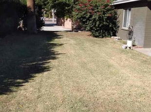 Weeding by Carlos Johnson for Mike J. in Phoenix, AZ