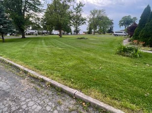 Robert W.'s Lawn Care service result
