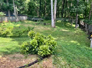Cleanups by Marc Yero for Kelly B. in Marietta, GA