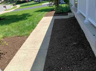 Mulching by NeftalΓ Escobar for Cassandra W. in Bristow, VA