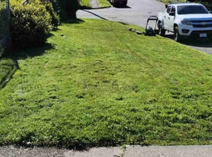 Crystal K.'s Lawn Mowing service result