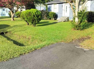 Kelsey C.'s Lawn Mowing service result