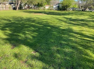 Apryl S.'s Lawn Care service result