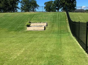 Peter A.'s Lawn Mowing service result