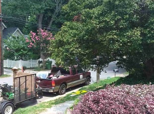 Bush Trimming by Jesse Blackshear for Gayle G. in Atlanta, GA