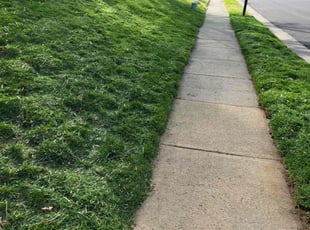 Jekisha G.'s Yard Cutting service result