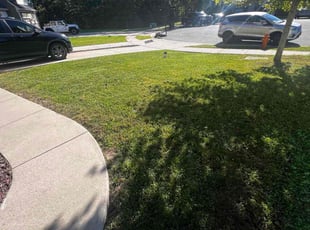 Michelle F.'s Lawn Care service result