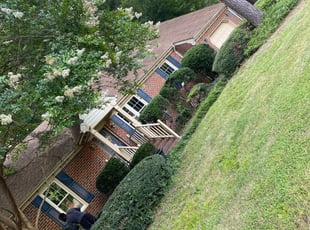 Bush Trimming by Taylor Dodson for Jarrett B. in Chesapeake, VA