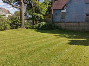Deanettra M.'s Grass Cutting service result