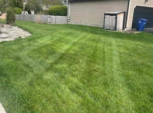 Dia B.'s Lawn Mowing service result