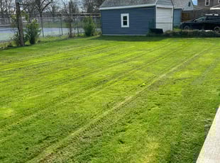 Ray B.'s Grass Cutting service result