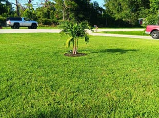 Alan and Pamela D.'s Lawn Care service result