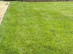 Josh R.'s Grass Cutting service result