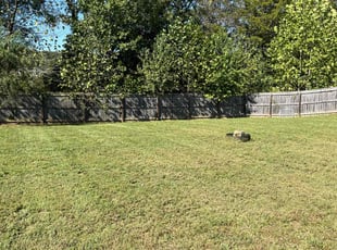 Chris C.'s Grass Cutting service result