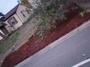 Mulching by Erica Flanagan for cathleen p. in Minneapolis, MN