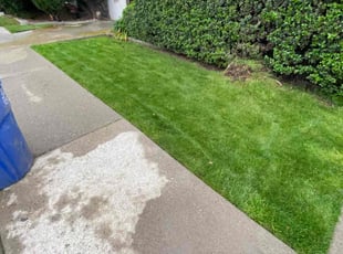 Dakota S.'s Lawn Mowing Service service result