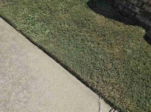 Carole C.'s Lawn Service service result