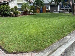 Kathy V.'s Lawn Maintenance service result