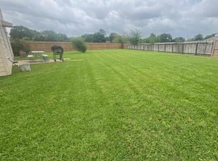 Vanessa V.'s Lawn Maintenance service result