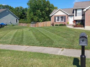 Celise B.'s Lawn Service service result