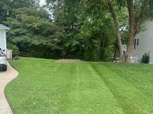 Philip G.'s Lawn Service service result