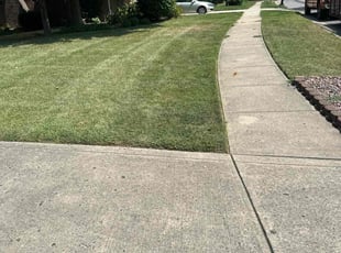 Sharon S.'s Lawn Maintenance service result