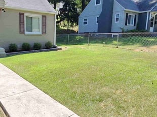 Lawan H.'s Lawn Mowing service result