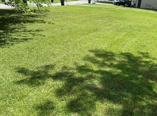 Carmon J.'s Lawn Maintenance service result