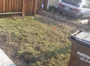 Cleanups by Chad Jensen for Bruce L. in Colorado Springs, CO