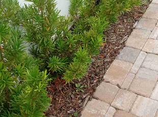 Weeding by Charles Gulley for Nina C. in Pensacola, FL
