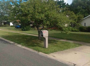 Bush Trimming by Devin Holmes-Day for Margaret C. in Cleveland Heights, OH