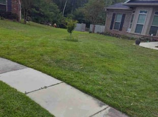 Ebony G.'s Lawn Maintenance service result