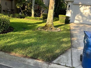 Natalie K.'s Grass Cutting service result
