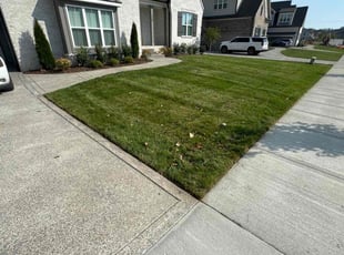 Alex G.'s Lawn Mowing Service service result