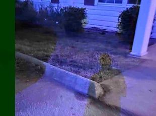 Bush Trimming by Adam Thompson for Ray R. in Greenville, SC