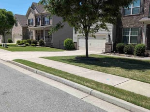 Dan M.'s Lawn Service service result