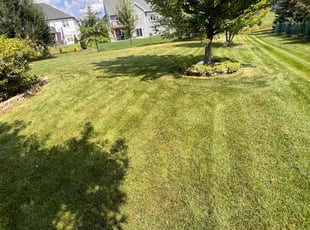 Devin P.'s Lawn Mowing service result