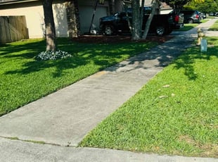 Will M.'s Lawn Service service result