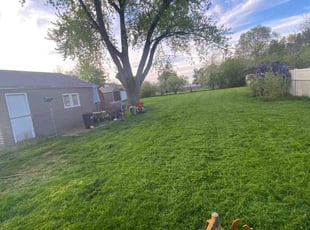 Walter K.'s Lawn Service service result