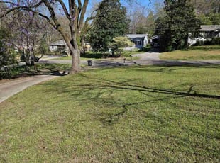 theresa M.'s Grass Cutting service result